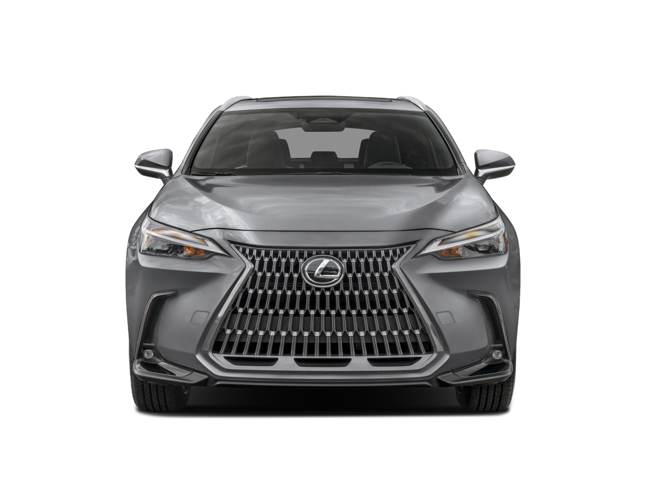 2023 Lexus NX 350h photo 3