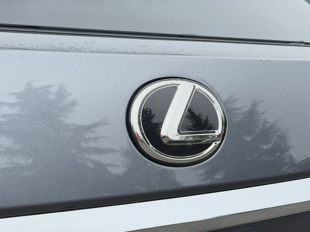 2017 Lexus RX 350 RX 350