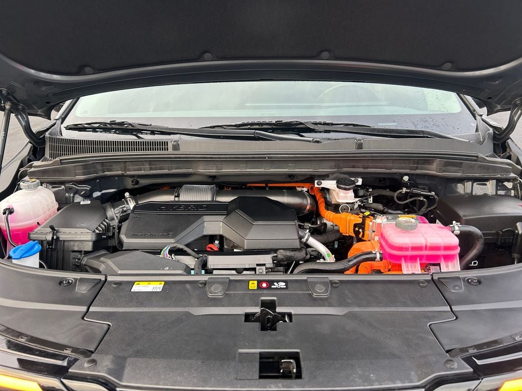 2025 Kia Carnival Hybrid LXS