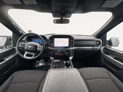 2025 Ford F-150 XLT Hybrid