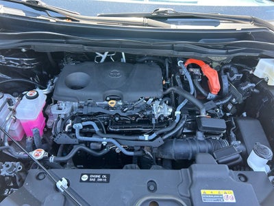 2022 Toyota Sienna XSE 7 Passenger