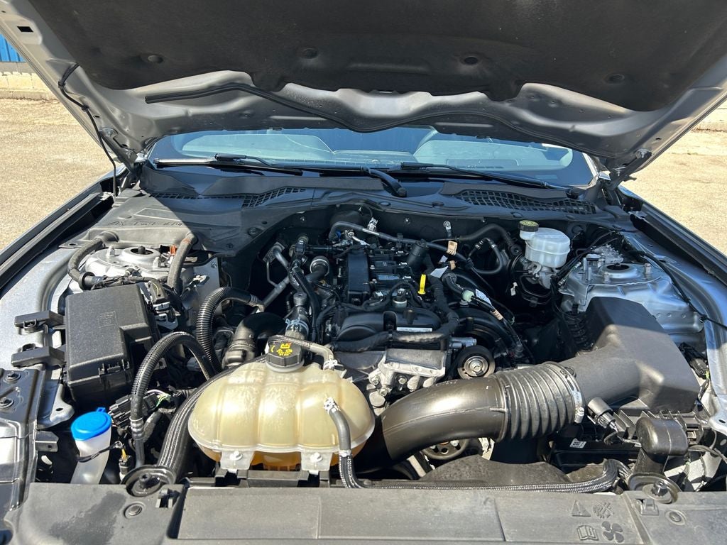 2023 Ford Mustang EcoBoost Premium