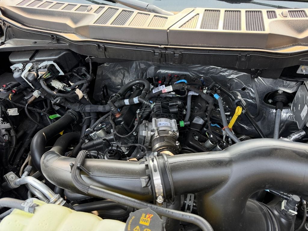 2025 Ford F-150 STX GOLD CERTIFIED PRE-OWNED