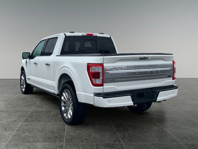 2023 Ford F-150 Limited