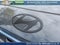 2027 Hyundai PALISADE HYBRID Calligraphy Black Ink