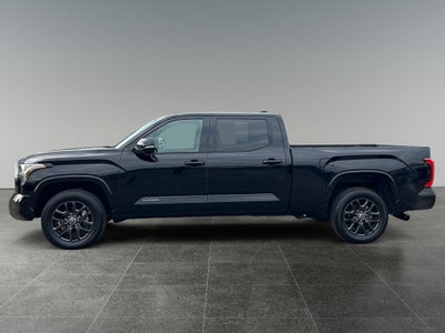 2023 Toyota TUNDRA 4X4 Platinum