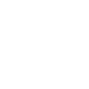 Driver's license icon